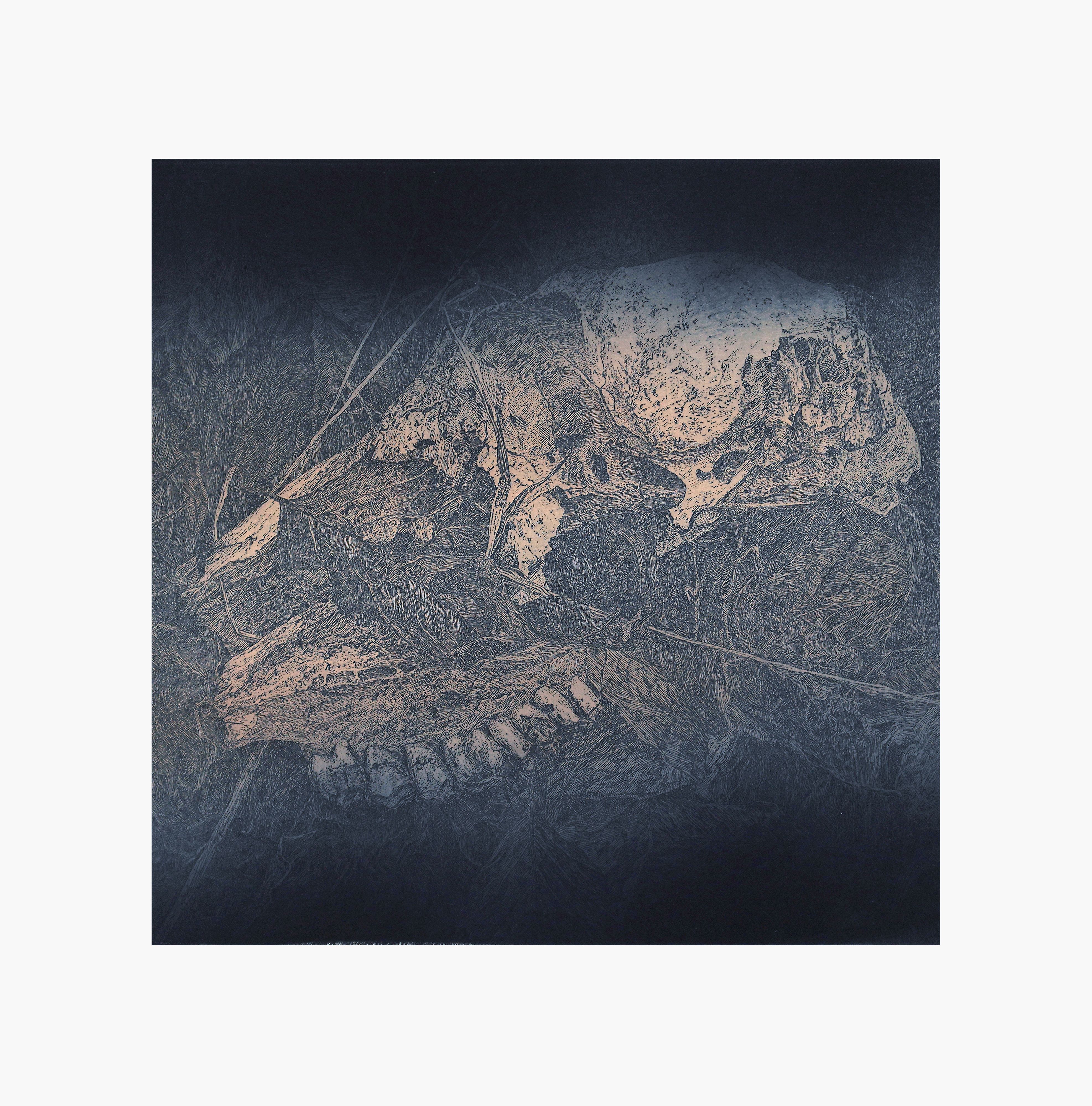 Relikvie lesa (barva) 