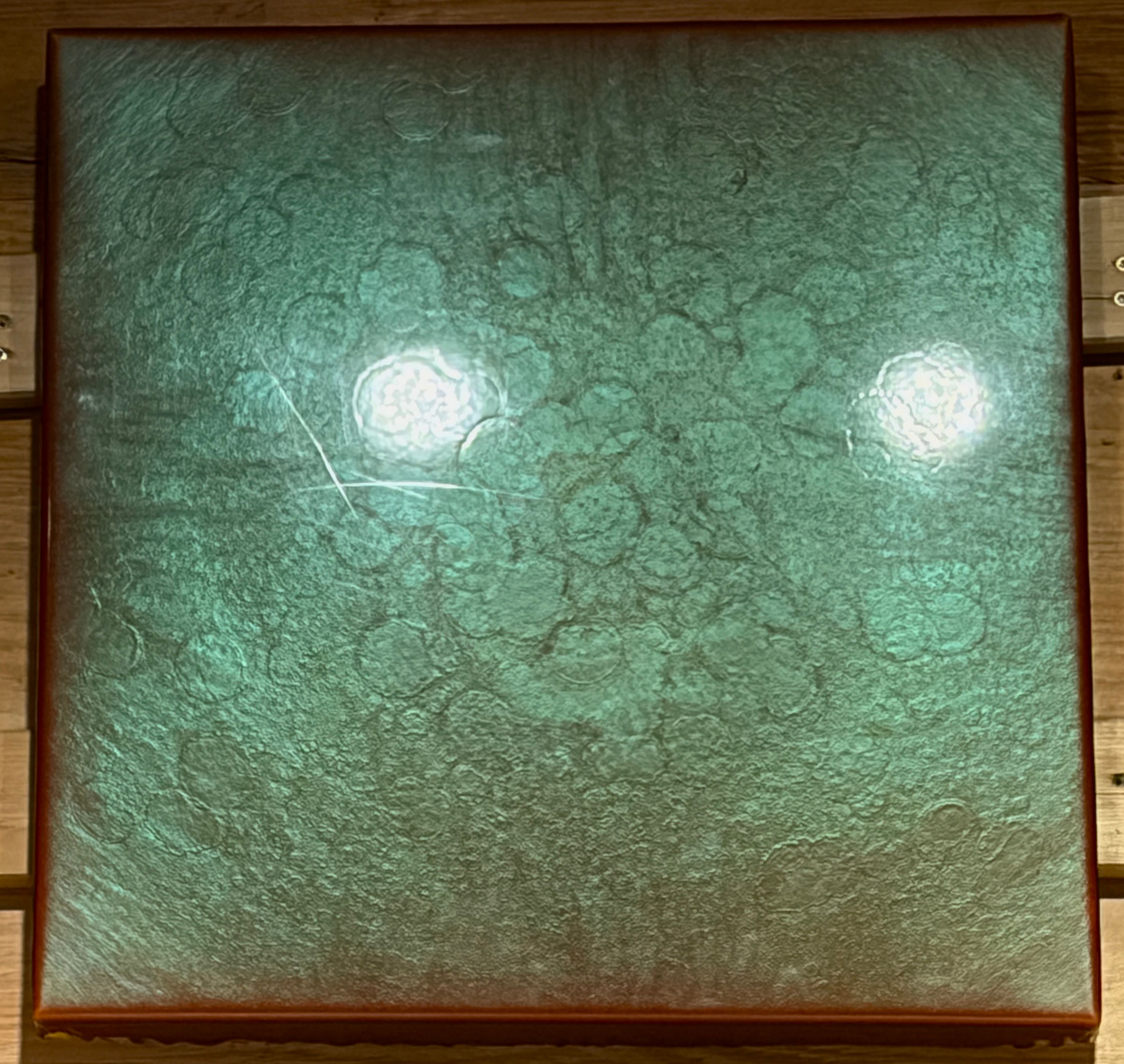 Bez názvu