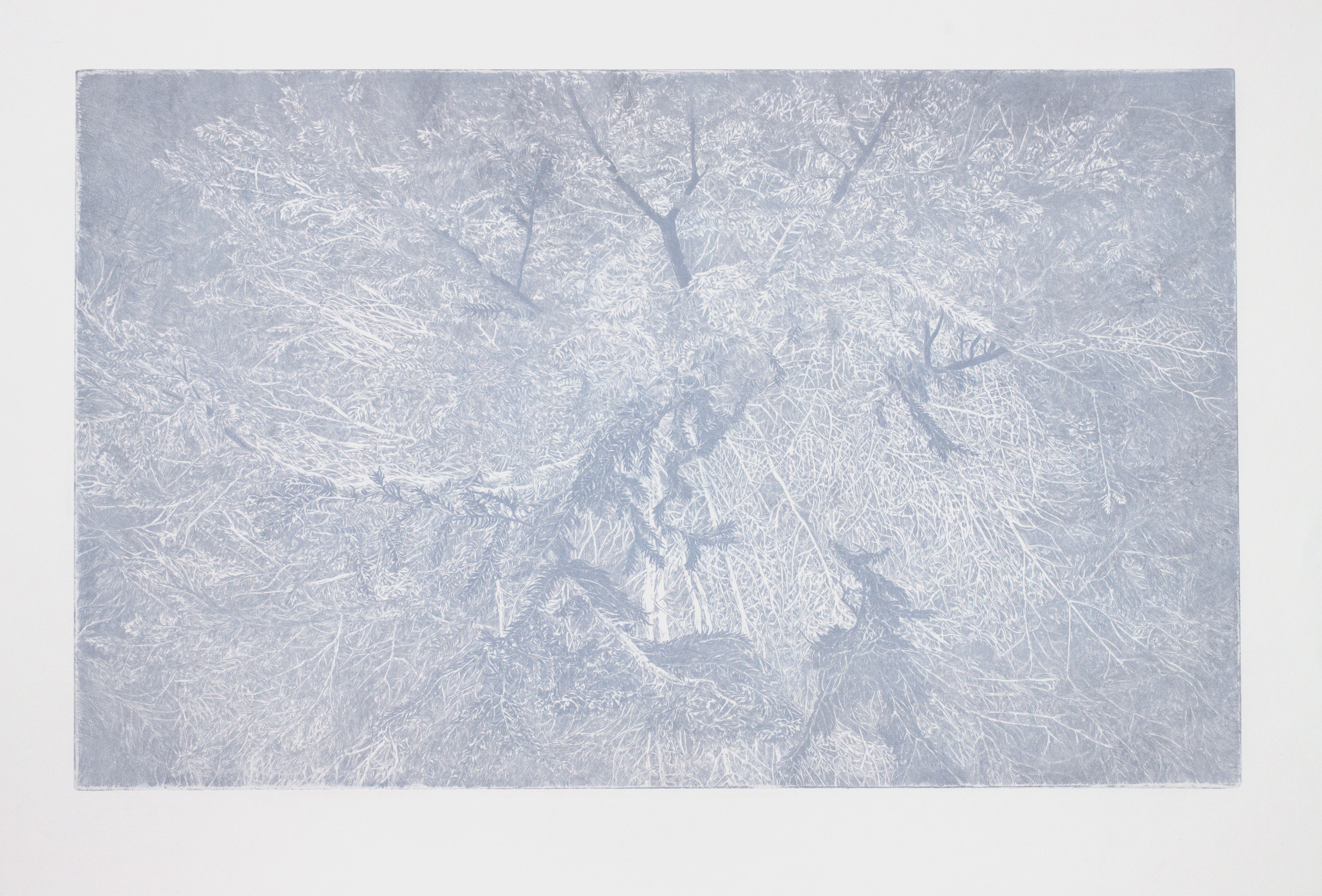 Přítomnost světla 