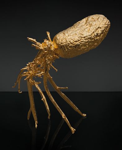 Brambora