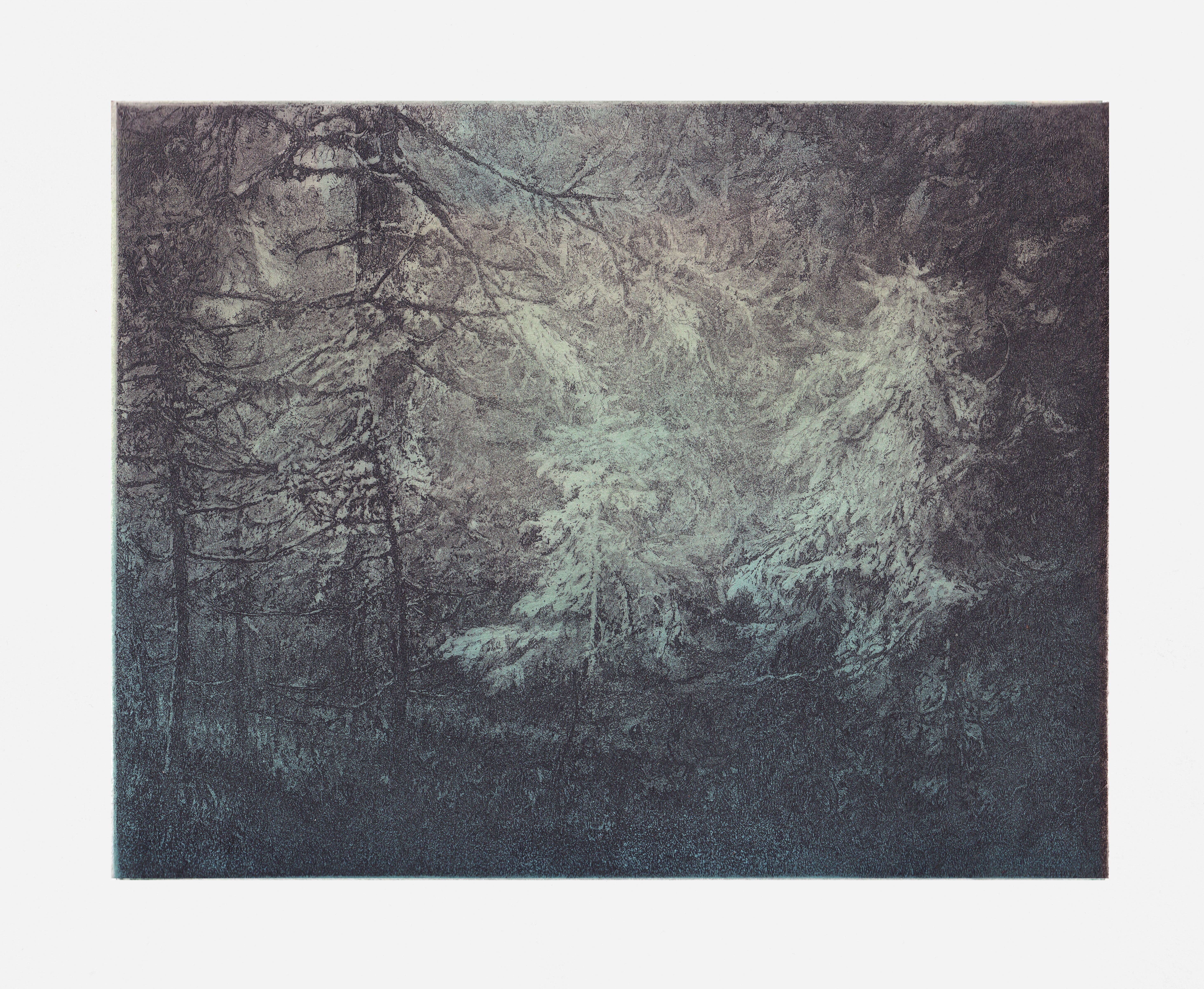 Světlo v lese (barva) 