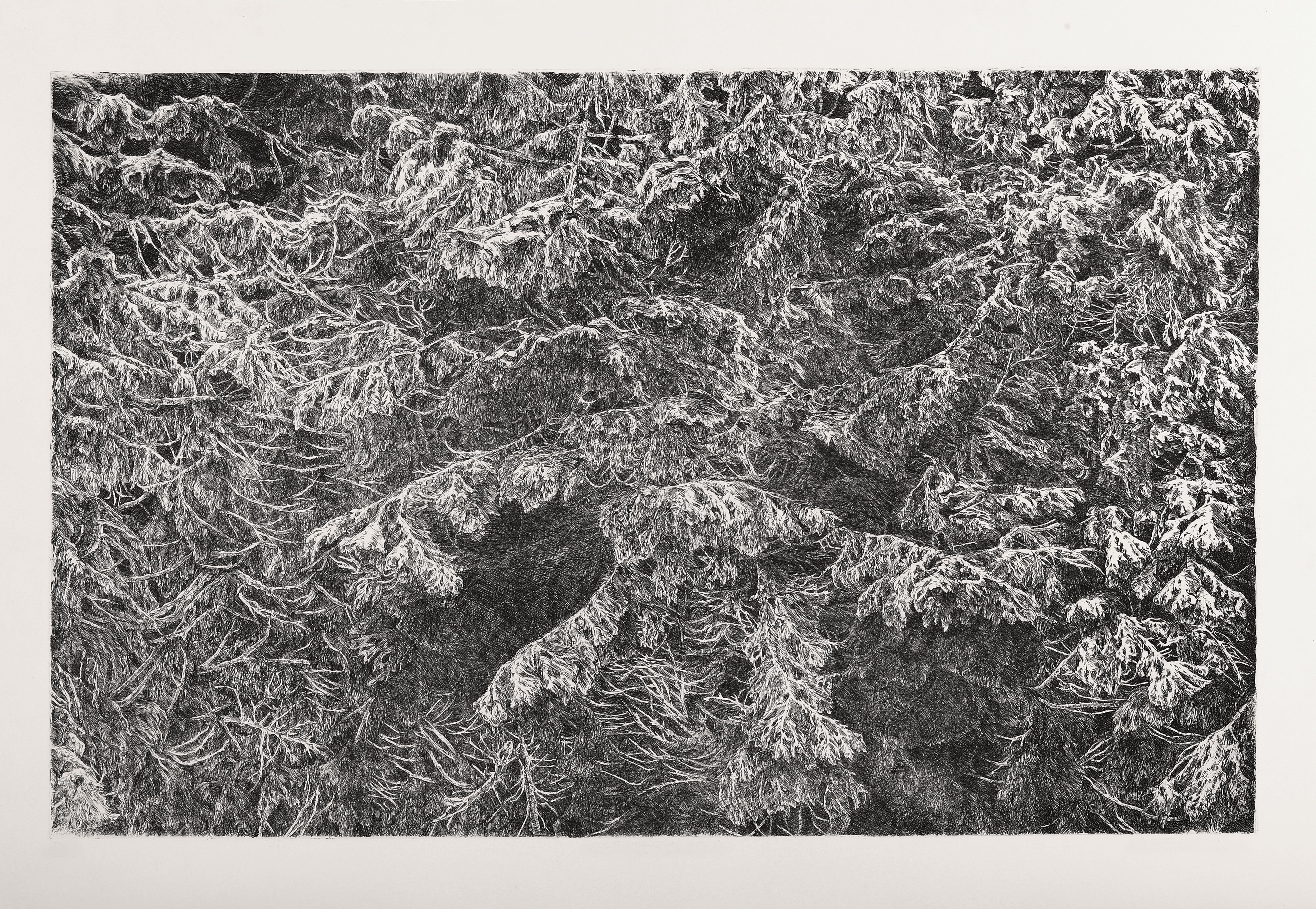 Je-li tma klidná, pohne se jas 