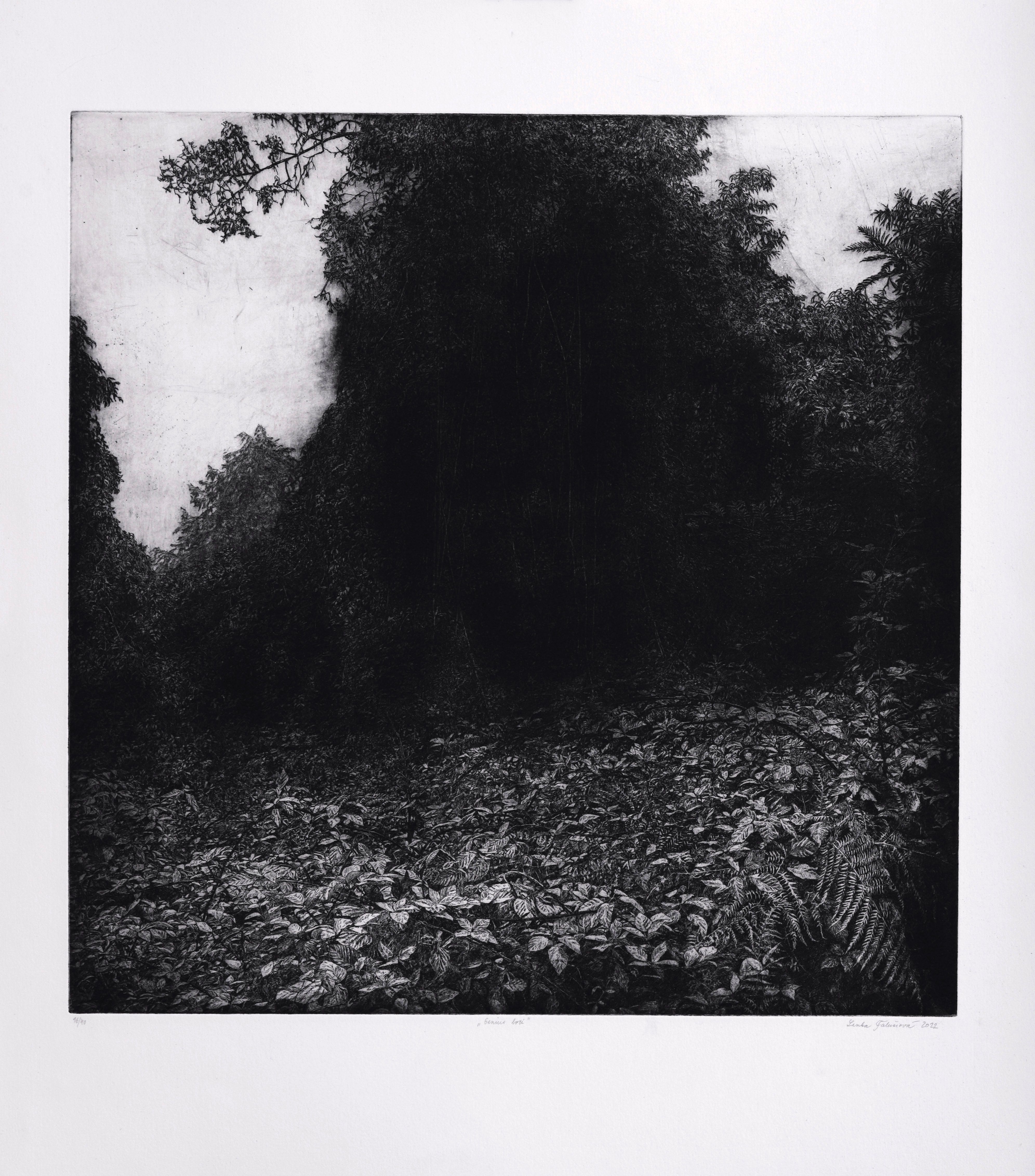 Genius Loci (tmavý)