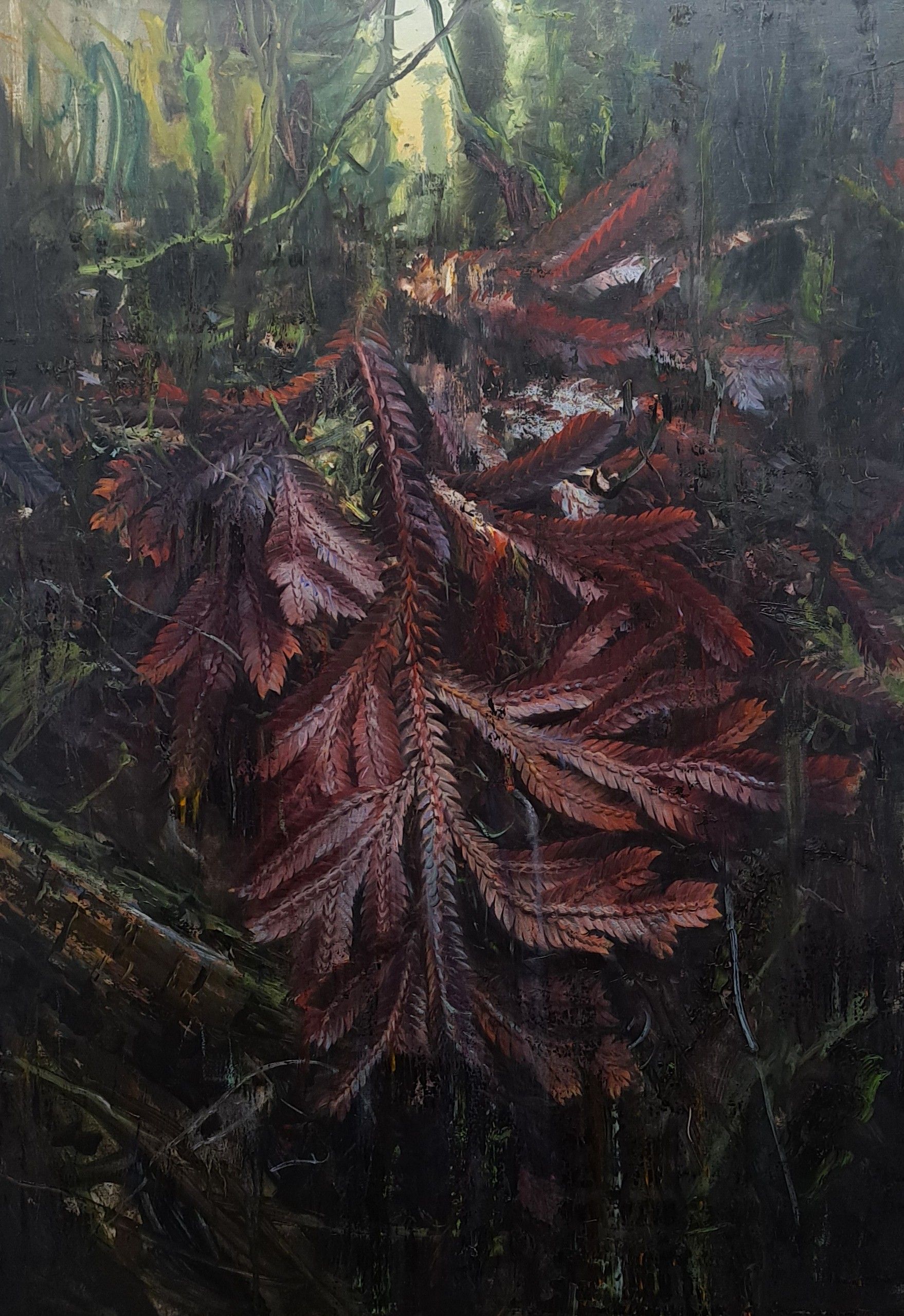 Selaginella erythropus