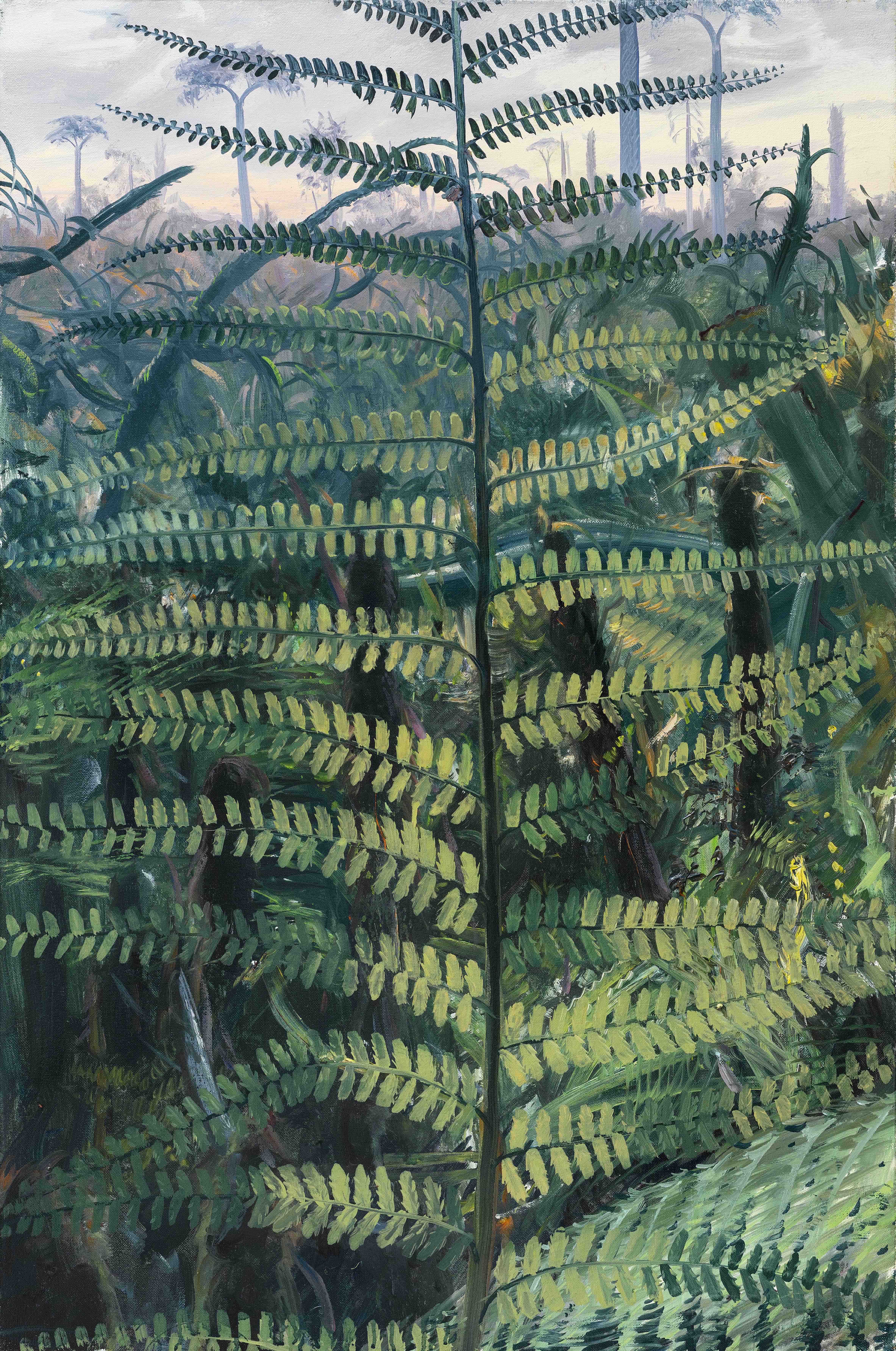 Alloiopteris sp.