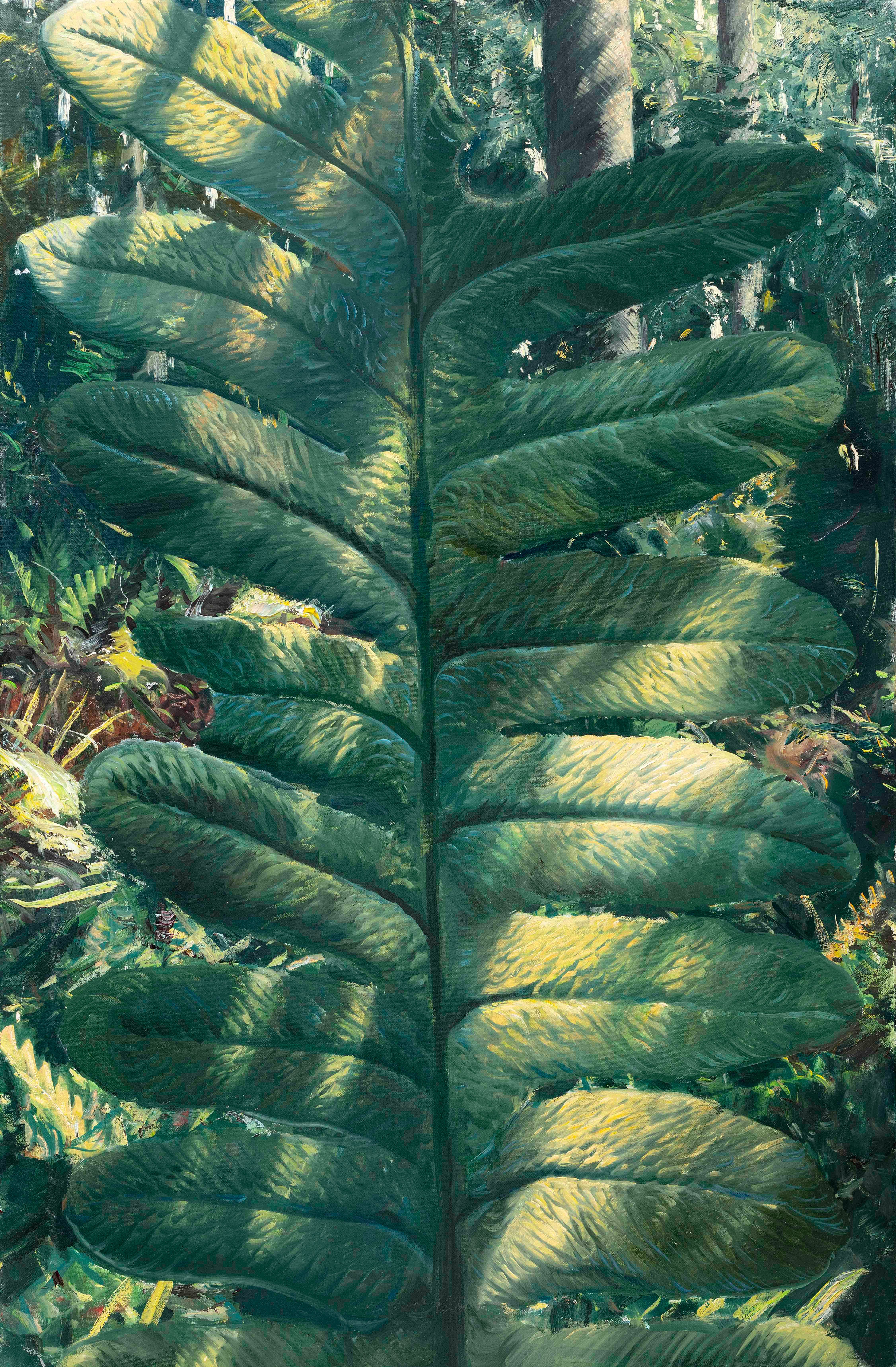 Lonchopteris rugosa