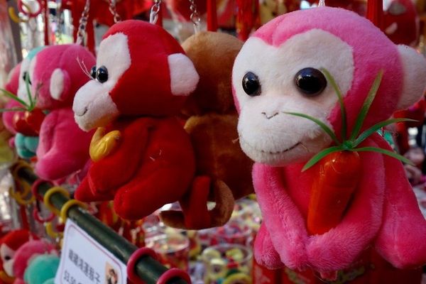 Transformation is no Monkey Business