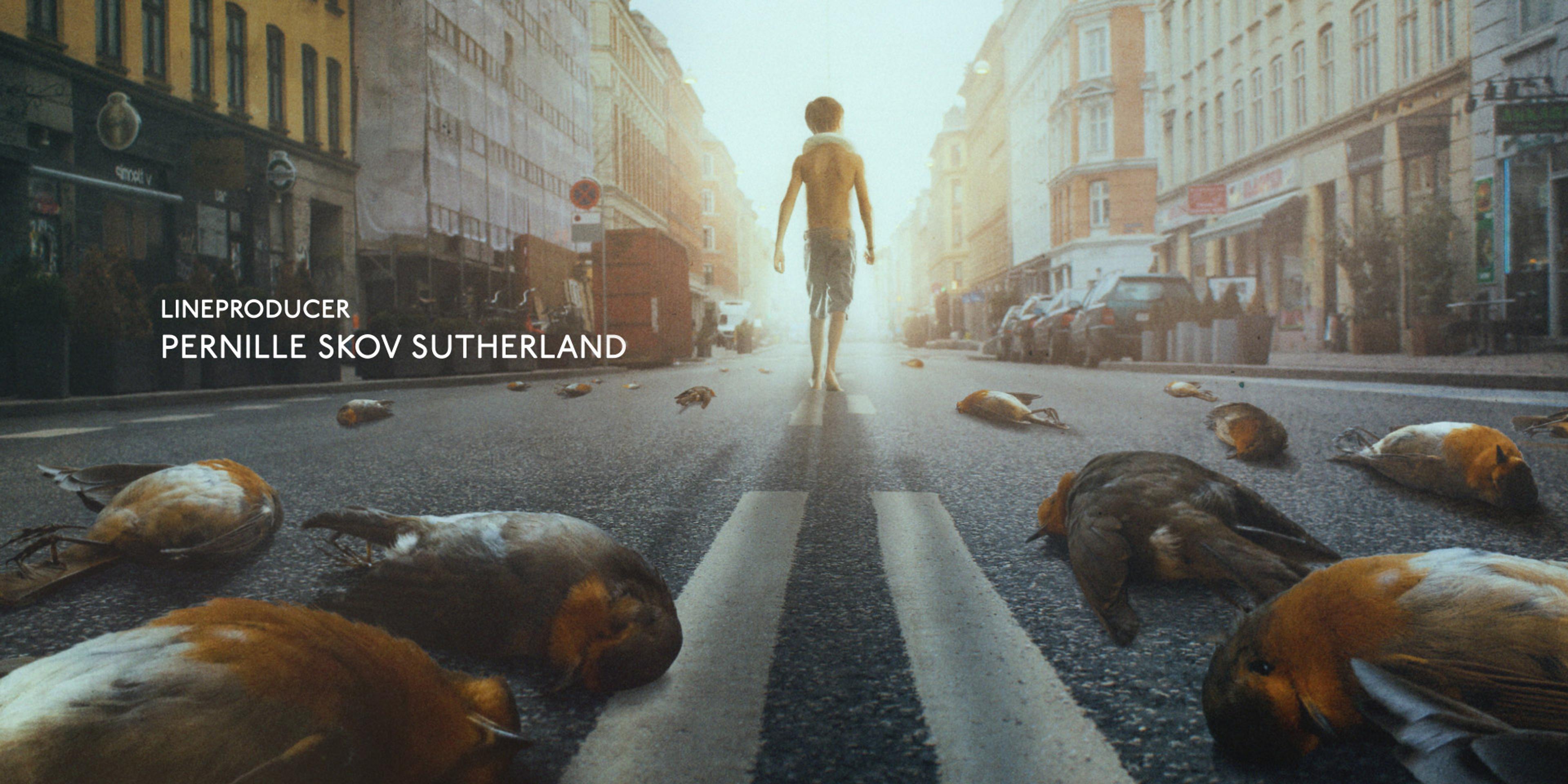 a child walking on a street littered with dead birds