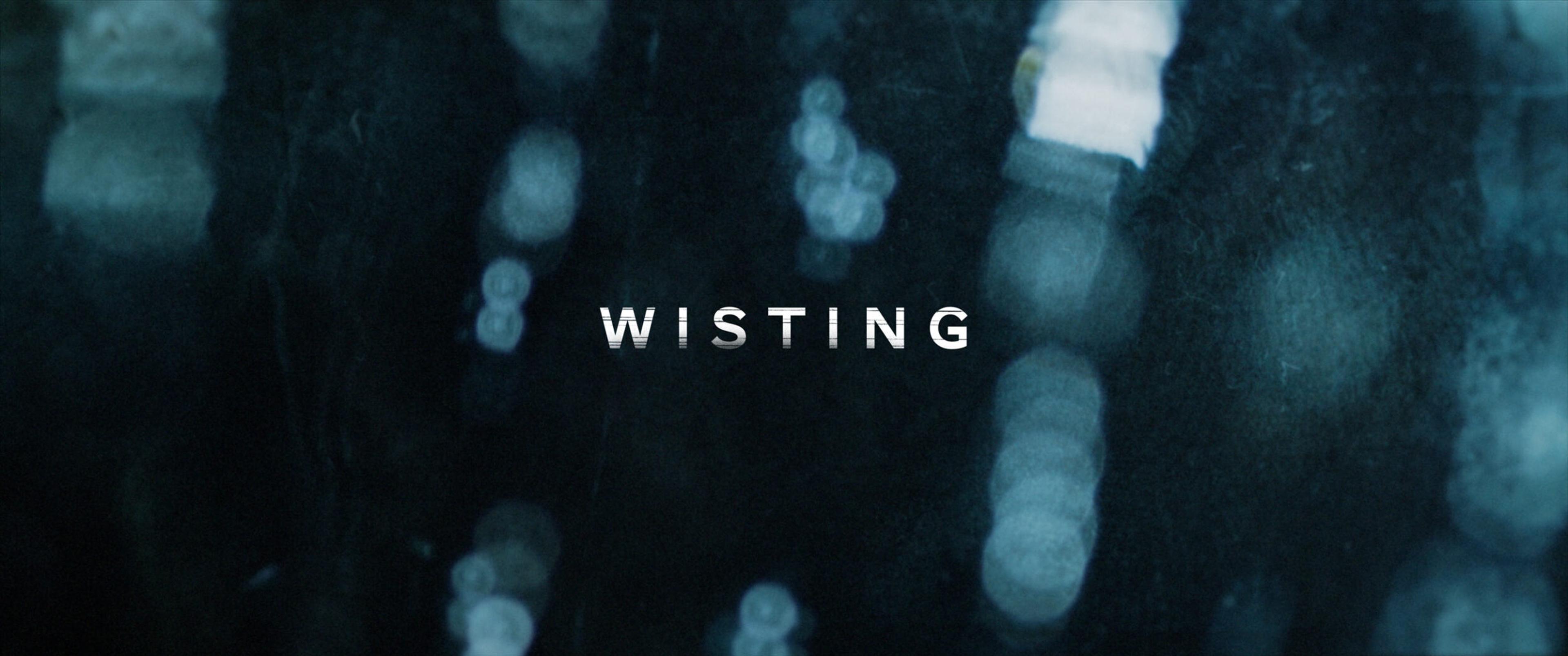wisting tv series title logo on a blurry rainy background