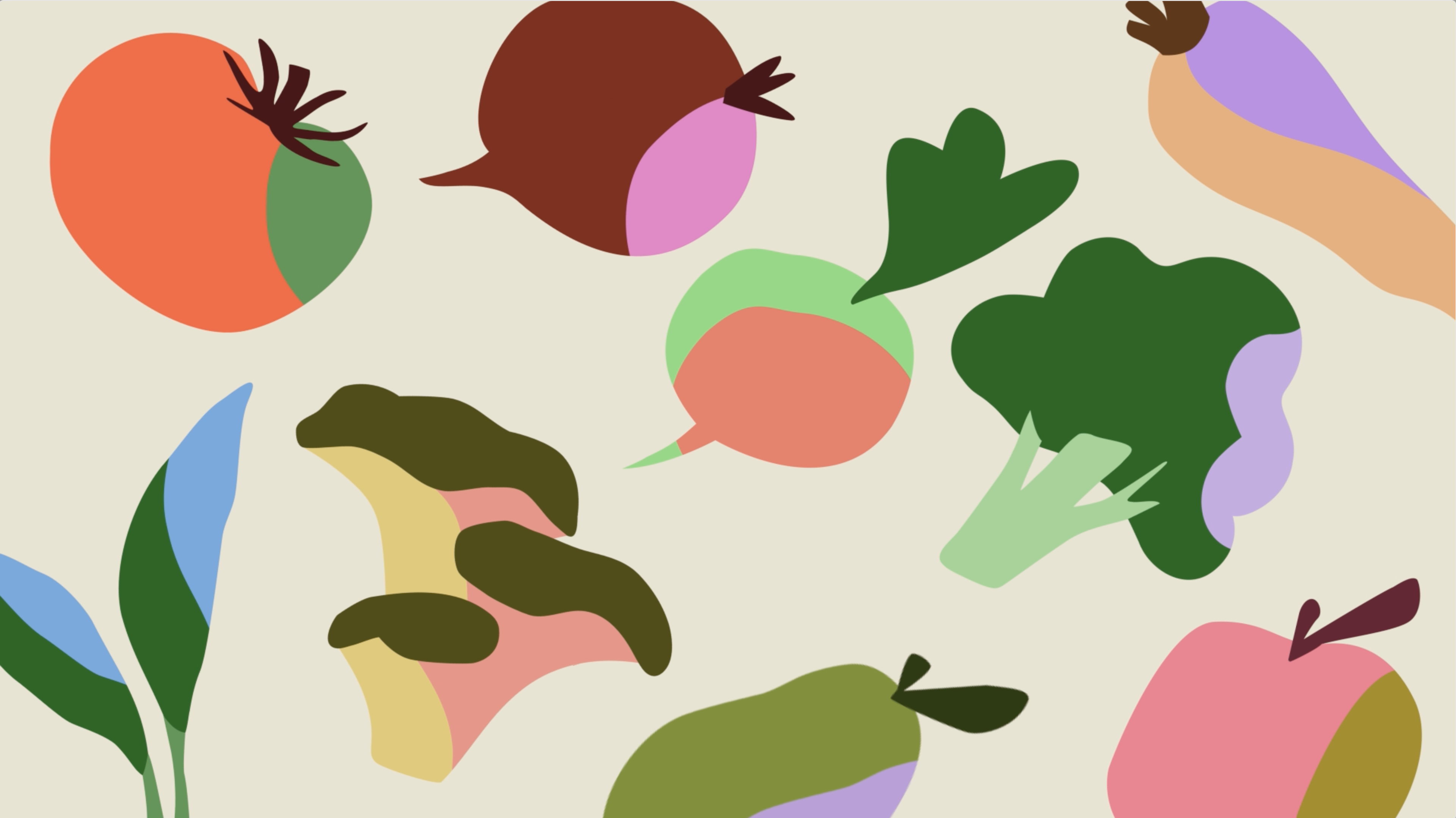 Meyers illustration system