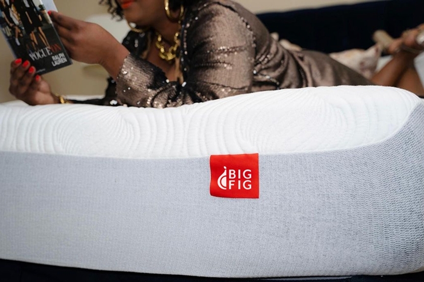 Big Fig's Mattress Protector Guards Your Big Fig From Pets, Stains, Spills, Sweat, And Dust Mites (nasty), While Keeping Your Mattress Warranty Active.