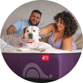 Alex And Ana's Pitbull Brad Loves Big Fig's Classic Mattress