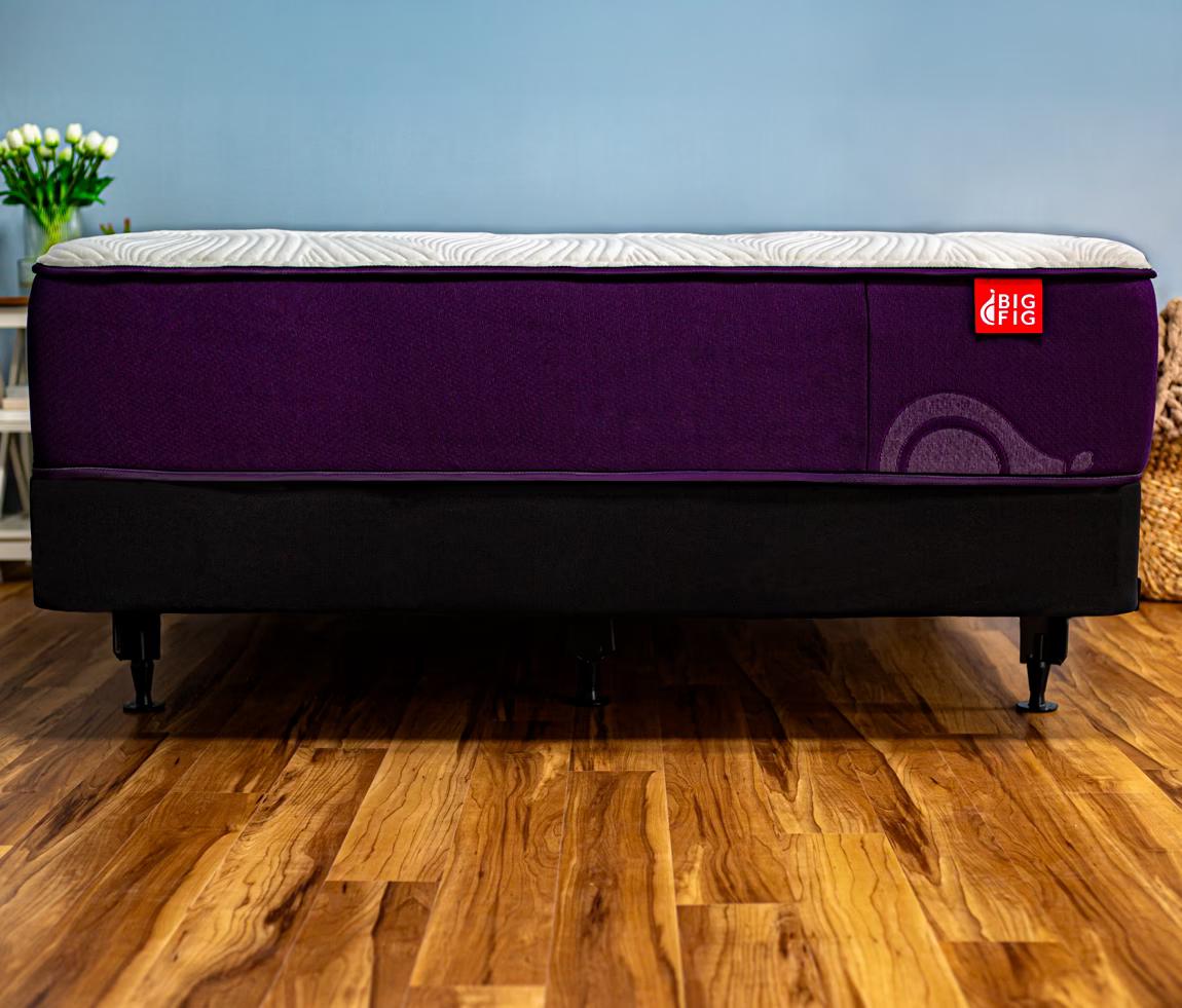 Big Fig Classic mattress and Heavy-Duty Foundation on a wood floor with a plant and blue wall in the background