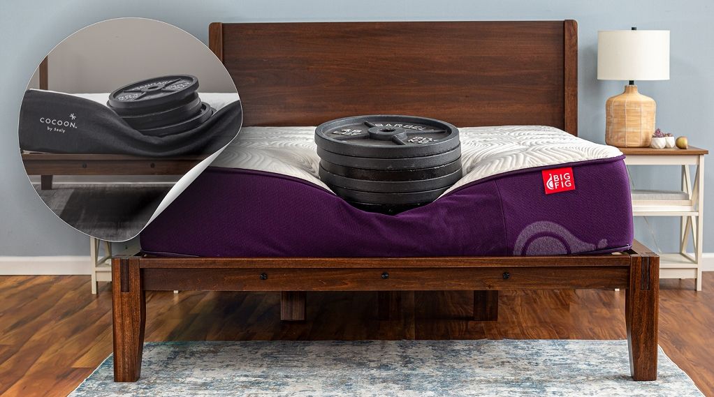 Big Fig vs Cocoon Chill by Sealy Mattress Comparison