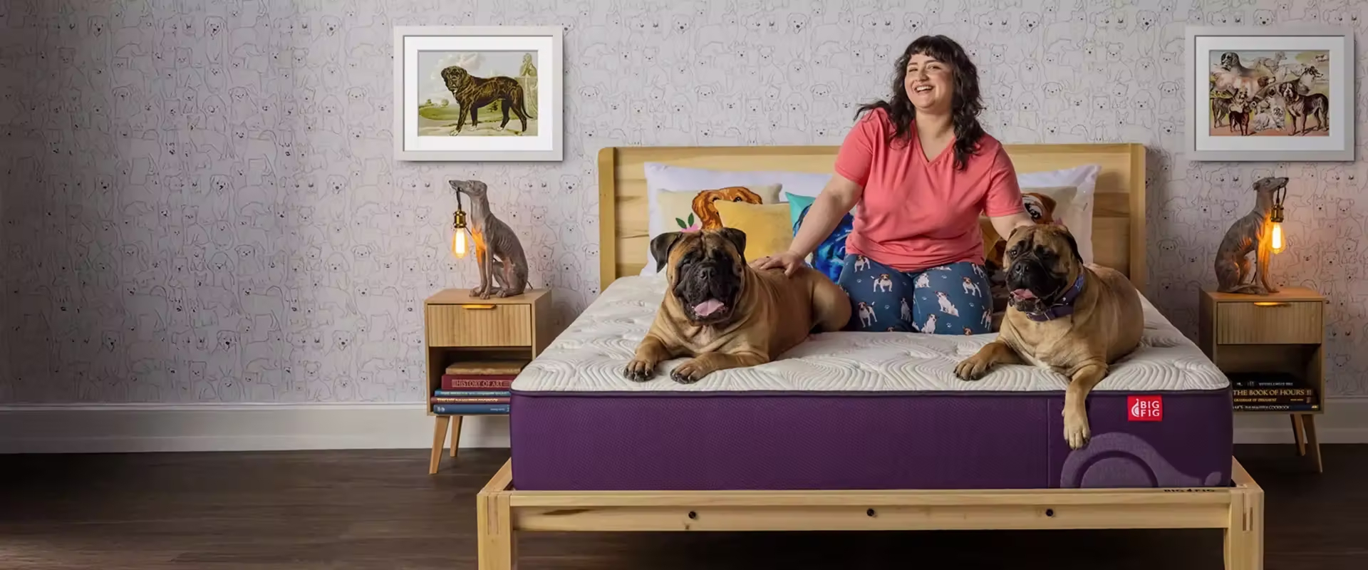 Woman petting two mastiffs on her bed