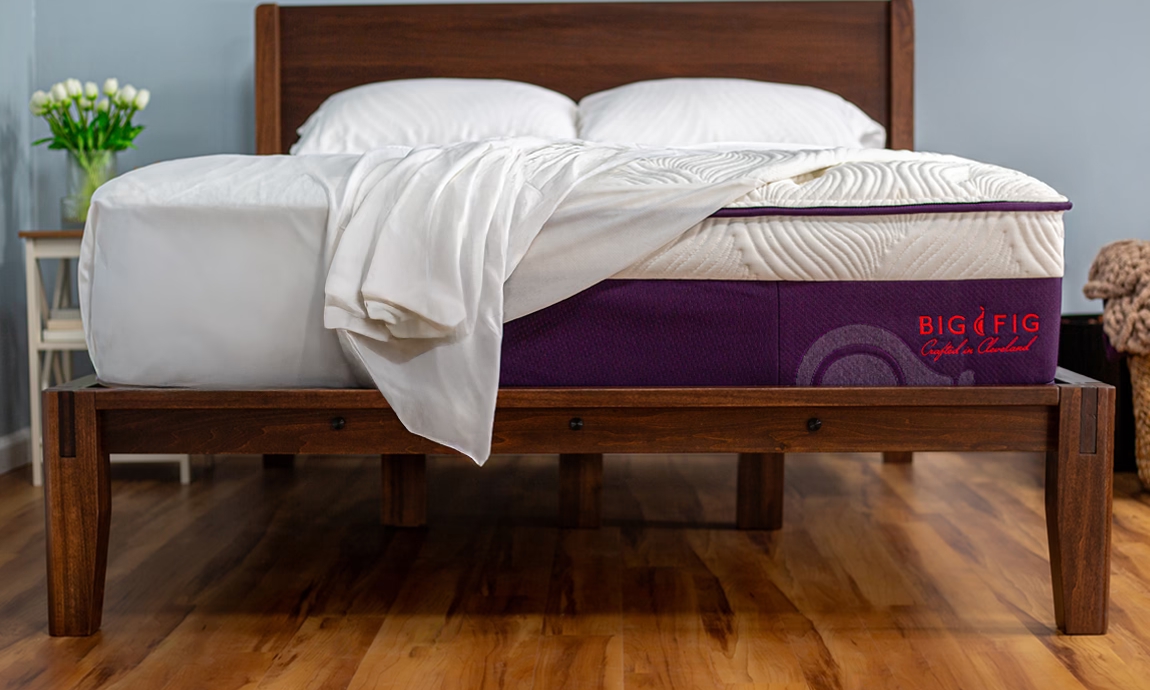 Big Fig Classic mattress and Heavy-Duty Foundation on a wood floor with a plant and blue wall in the background