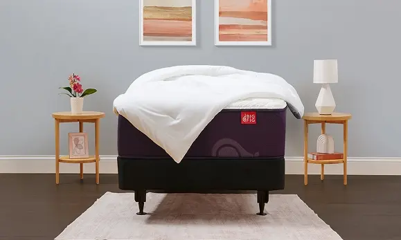 Big Fig's Classic Mattress Is Available In Twin Size.