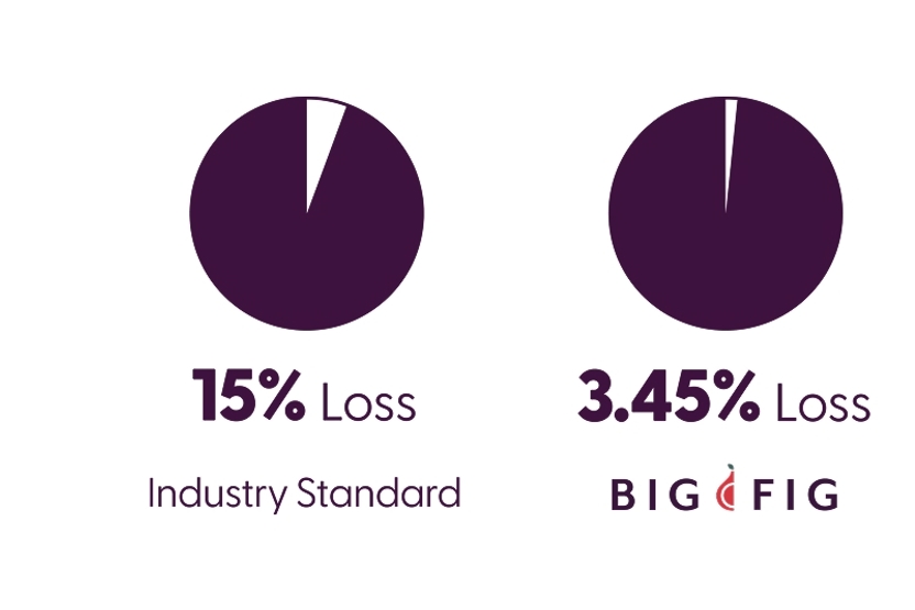 Big Fig Mattress Cornell Firmness Test