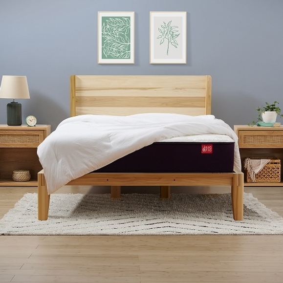 Big Fig Firm Mattress Queen Size