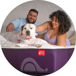 Couple smiling and petting a white dog on a mattress