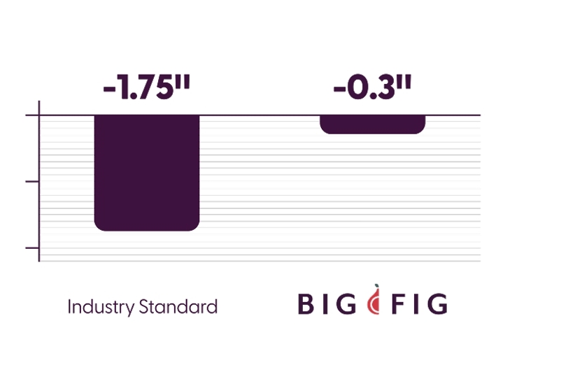 Big Fig Mattress Cornell Test