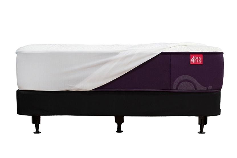 Big Fig Heavy Duty Foundation Is Rated To Support Up to 2,000 lbs. That's Five Times The Weight Of A Typical Bed Foundation Or Box Spring.