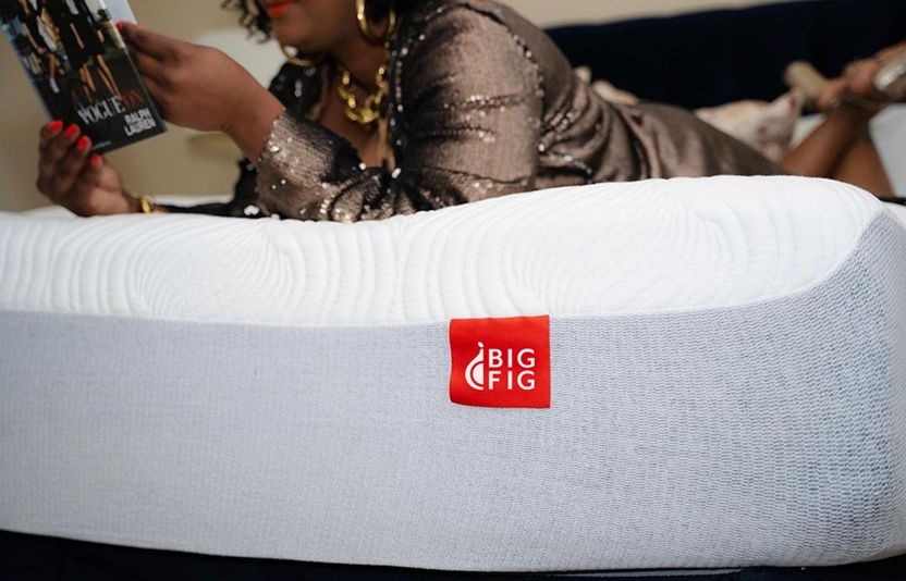 Big Fig's Mattress Protector Guards Your Big Fig From Pets, Stains, Spills, Sweat, And Dust Mites (nasty), While Keeping Your Mattress Warranty Active.
