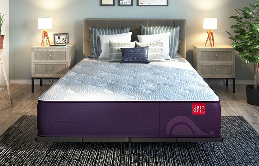 Big Fig's Ultra-Low Profile Foundation Blends Right In With Modern Decor, Keeping Your Space Sleek Without Sacrificing Strength.