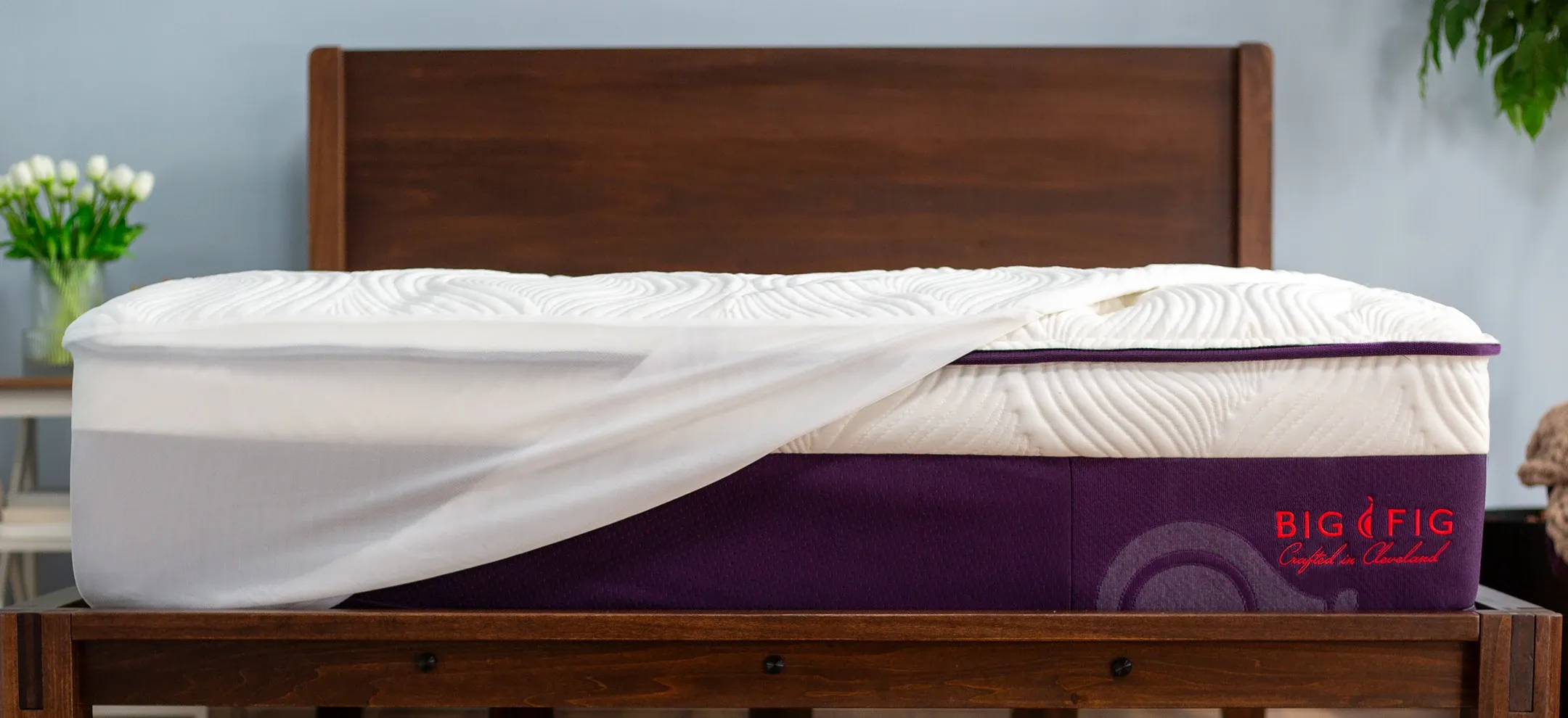 Contact Us At Big Fig: We Got Your Back