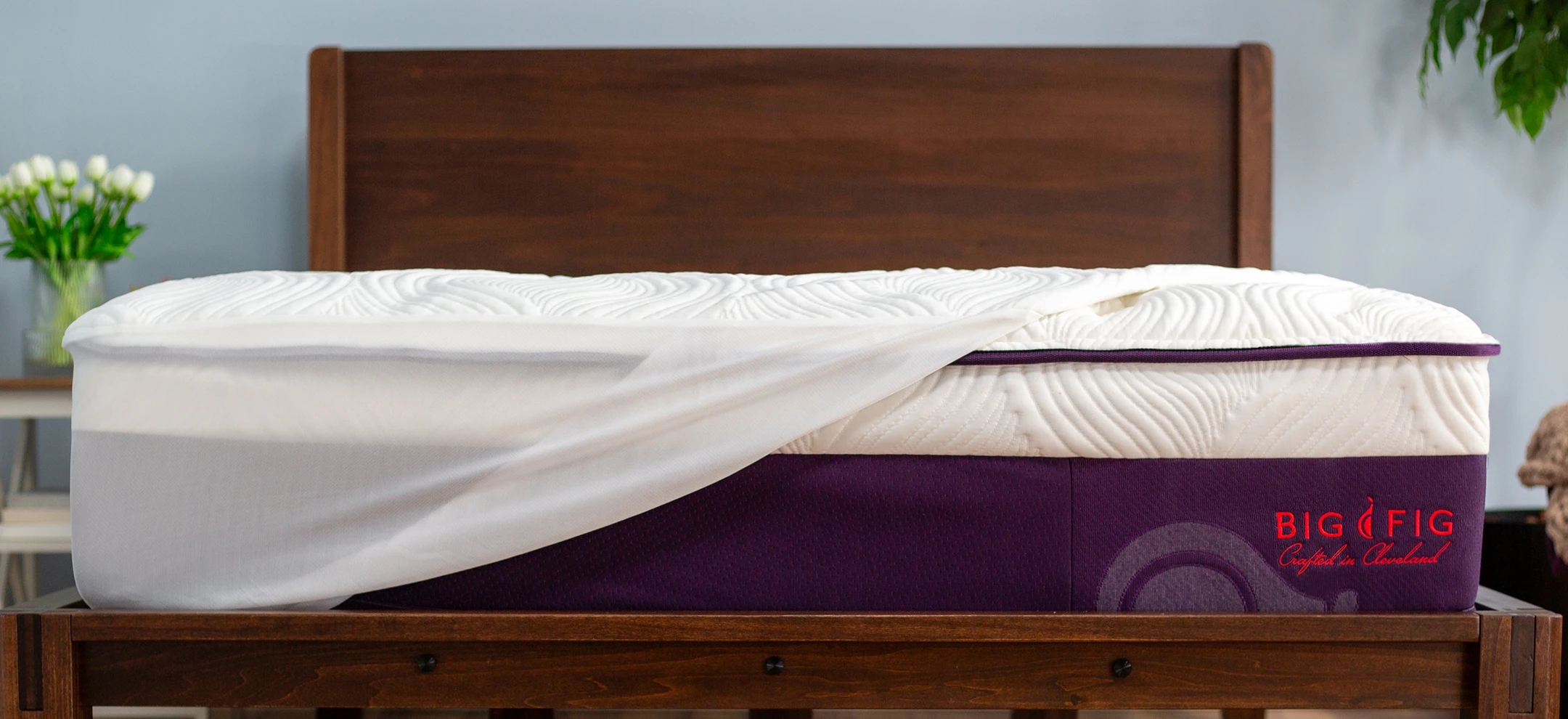 Contact Us At Big Fig: We Got Your Back