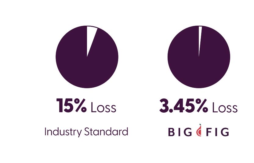 Big Fig Mattress Cornell Firmness Test