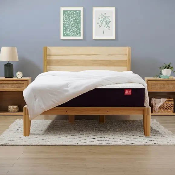 Big Fig Firm Mattress Queen Size