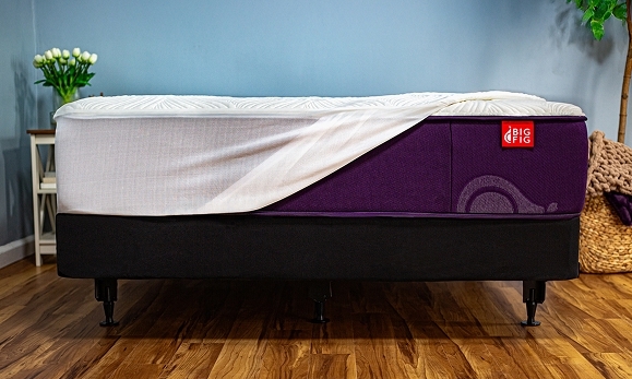 Big Fig's Best Seller Bundle With Our Classic Mattress.