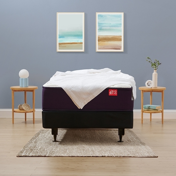 Big Fig Firm Mattress Twin XL Size