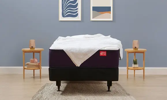 Big Fig Firm Mattress Twin Size