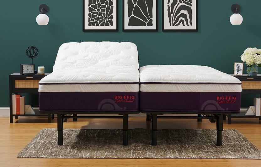 Big Fig Bed Foundation Return Policy.