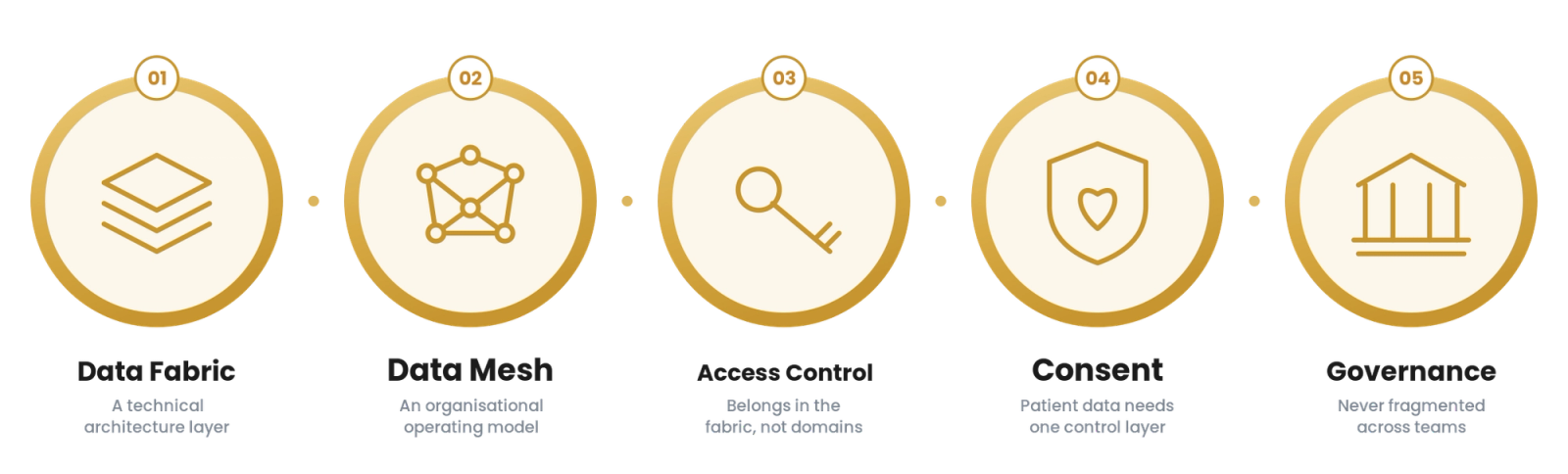 Data Fabric for Healthcare