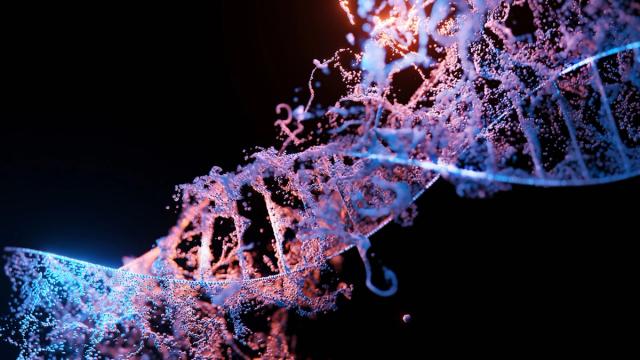 Personalised Nutrition: How Gene Testing Changes Your Diet Plan