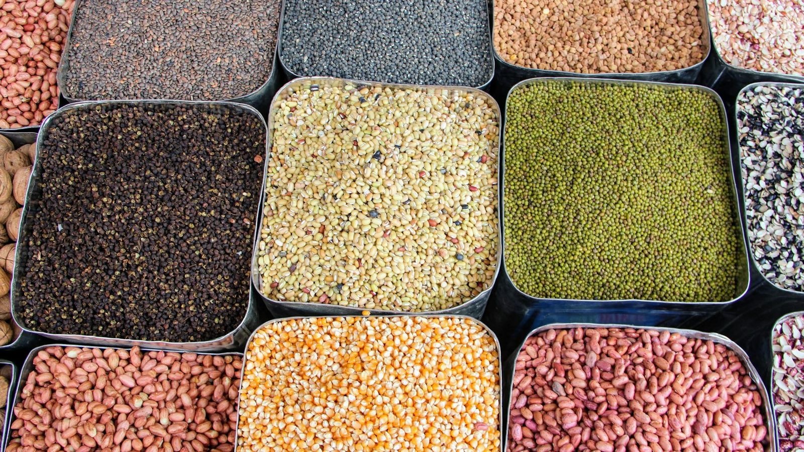 a variety of beans and cereals in trays