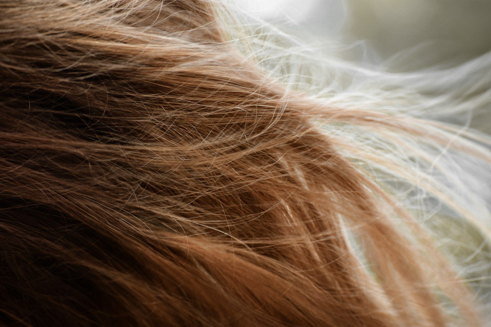 ALL ABOUT HAIR FALL &amp; HOME REMEDIES