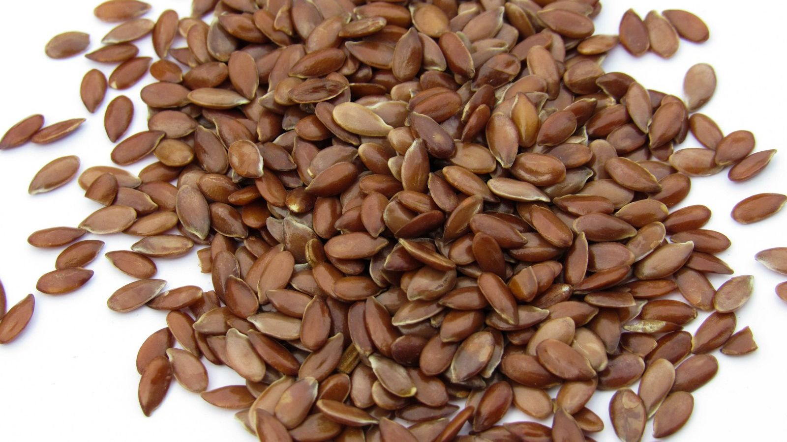 a pile of sunflower seeds on a white surface