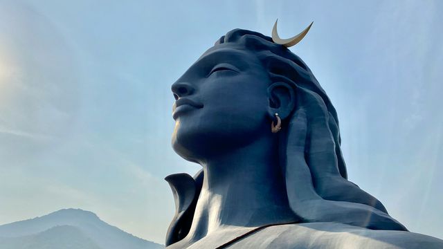 WHAT IS A YOGIC DIET?