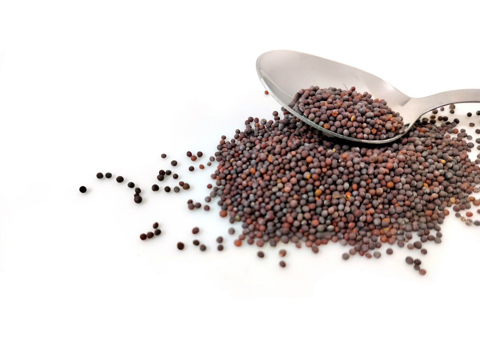 Coconut Oil vs Mustard Oil vs Groundnut Oil: Which Is Healthiest?