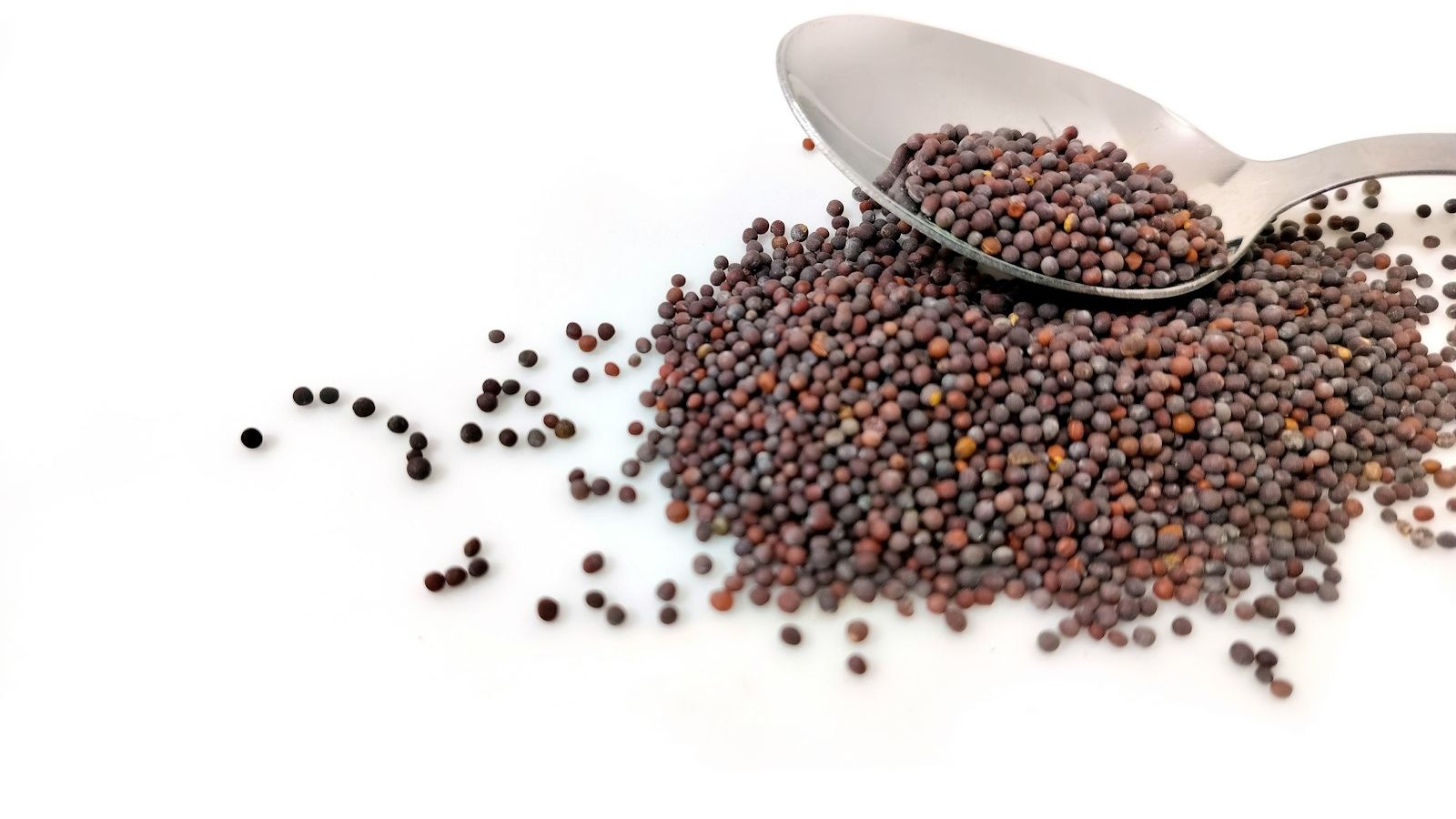 a pile of black seed next to a spoon