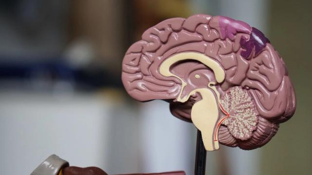 Kidney Disease on an Indian Diet Abroad: An NRI's Guide