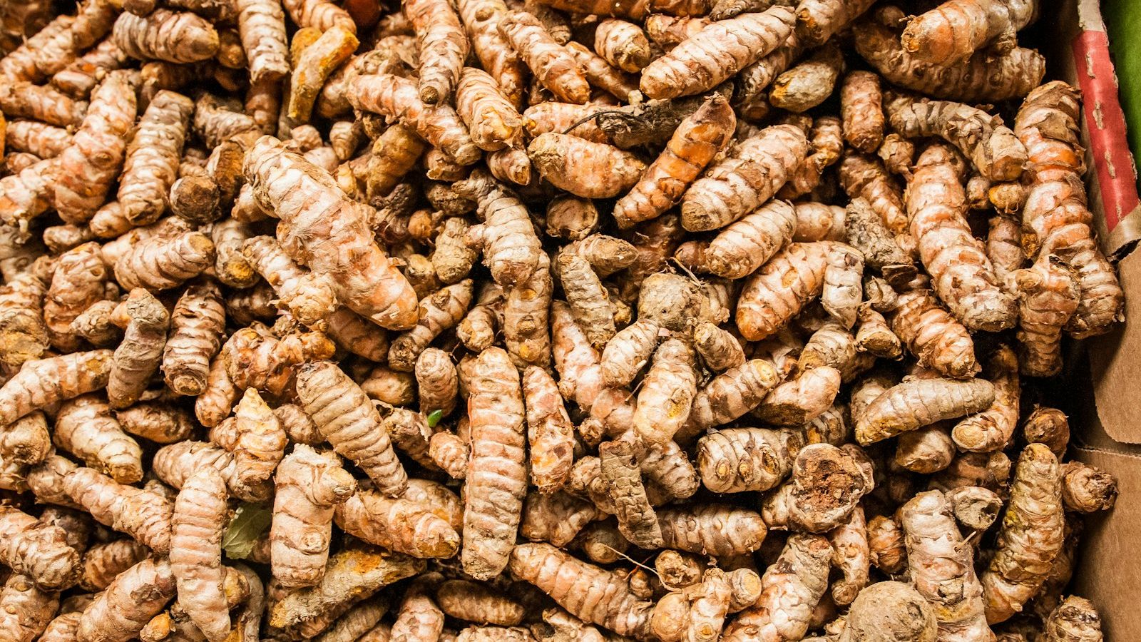 a pile of brown and white nuts