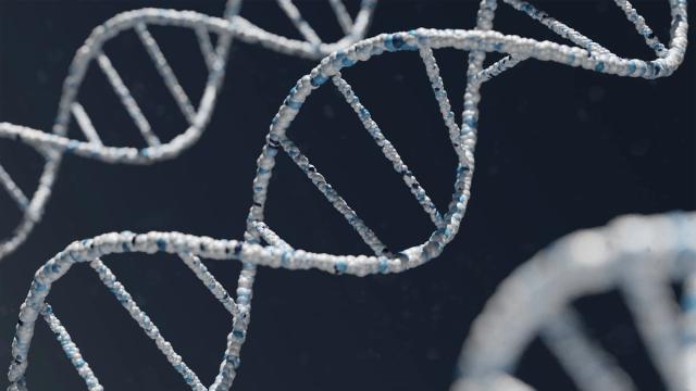 Nutrigenomics Explained: How DNA Shapes Your Diet
