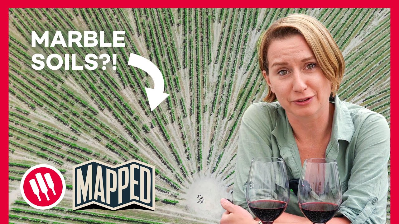 Can You Taste Stone in Your Wine? (Blind Tasting in Alentejo)