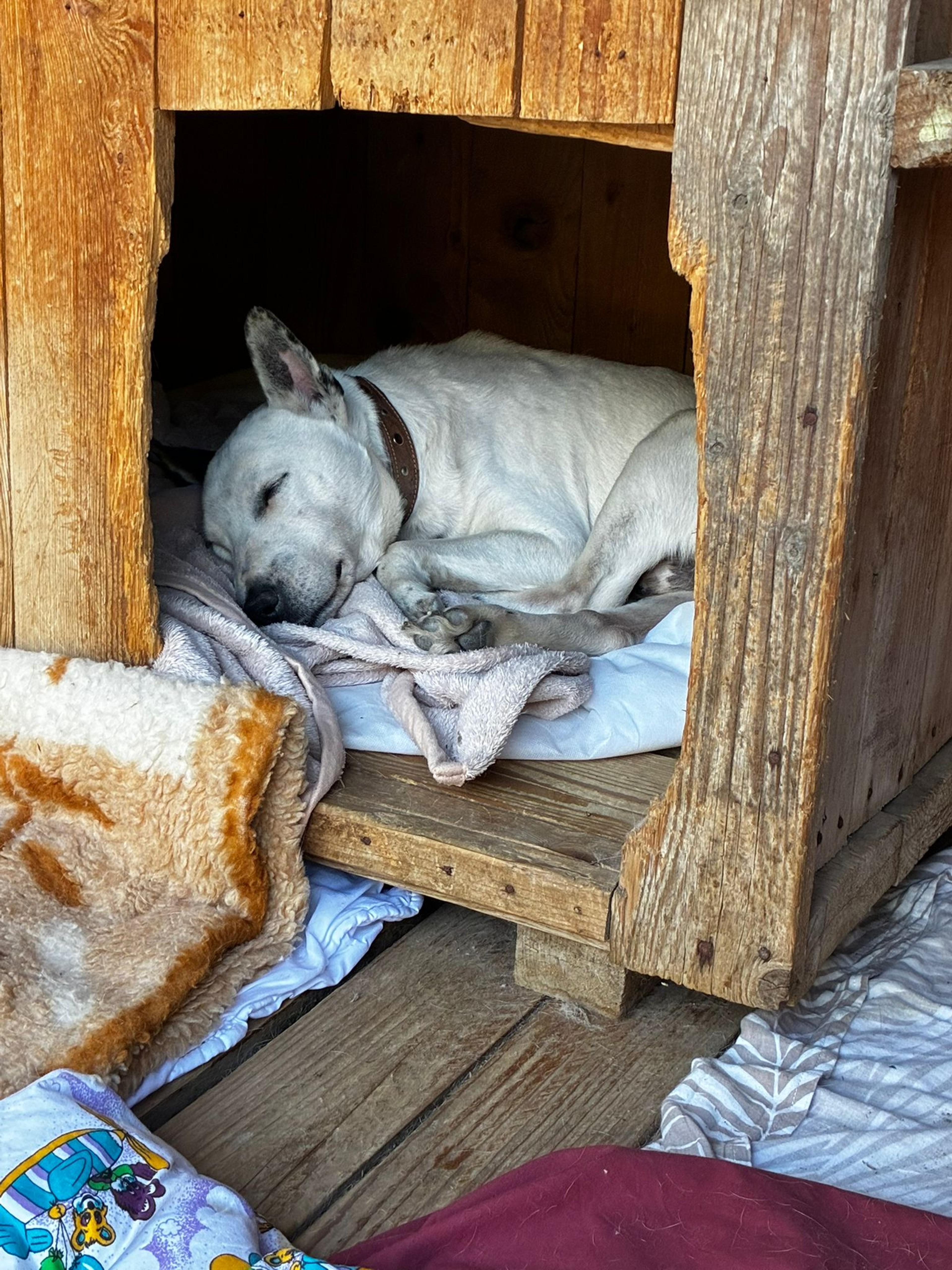 Max