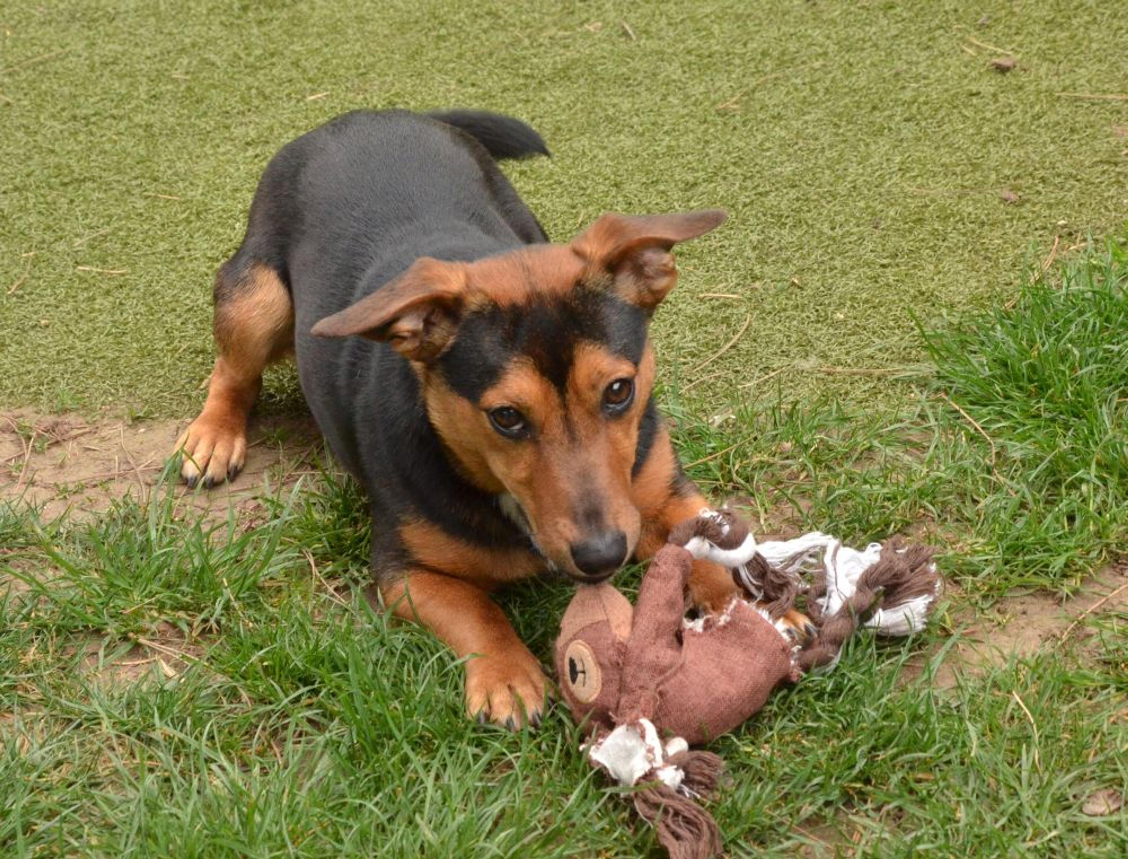 Doby